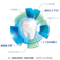 【増量】シュミテクト コンプリートワンEX 【医薬部外品】 歯磨き粉 知覚過敏ケア 高濃度フッ素配合<1450ppm> 1本