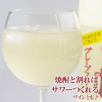 ハイサワー グレープフルーツ 博水社 1000ml ペット 1箱（15本）