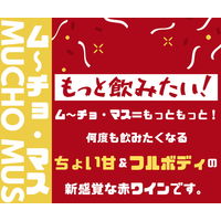 スペイン ムーチョ マス 白ワイン　辛口 750ml 1本　スマイル