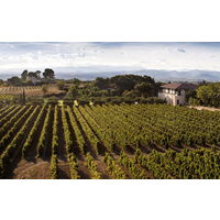 【ナチュラルワイン】フランス　キュヴェ セクレテ 赤ワイン　ミディアムフル　酸化防止剤無添加 750ml 1本　オーガニック　スマイル