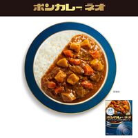 ボンカレーネオ 濃厚デミスパイシーカレー 辛口 200g 1セット（1個×5）大塚食品 レトルト レンジ対応