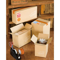 ヘッズ BKFデリバリーカートン-2 BKF-CT2 1袋(10枚)