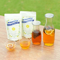 水出し フロートレモンティー  500ml用　紅茶ティーバッグ 1袋（10バッグ入）　乾燥輪切りレモン入り