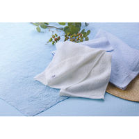 オオタ 泉州こだわりタオル 本晒し バス・フェイスタオルセット 24-7532-062 1箱（直送品）