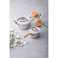 ワイ・ヨット ビタクラフト ディア 両手鍋(16cm) 24-0317-034 1箱（直送品）