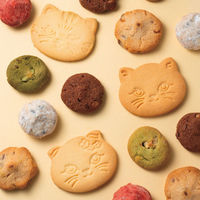 DADACA 【2個セット】こねこのこねこねクッキー缶 Happynyao 24-0437-013 1セット(2個入)（直送品）