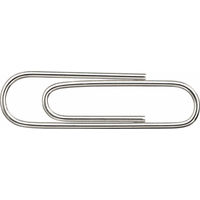 ライオン事務器 ゼムクリップ 小 No.13-100 1セット（1箱（100本入）×5）