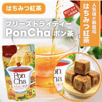 PonCha（ポンチャ） はちみつ紅茶 フリーズドライティー 1袋（10粒入）