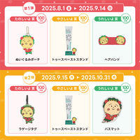 歯磨き粉 エコストア ハミガキ トゥースペースト＜コンプリートケア＞ 100g マッシュビューティーラボ