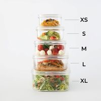 保存容器 エンバランス クリアコンテナ XS 380ml クリア 1個 ウィルマックス