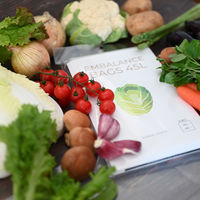 ウィルマックス エンバランスバッグ45L 4枚入●セット:2個セット 4570030351374 1セット(2個入)（直送品）