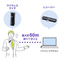 サンワサプライ ワイヤレスマイク(マイク2台) MM-MCW02 1個（直送品）