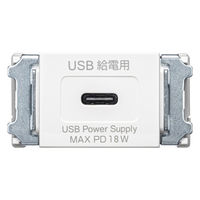 サンワサプライ 埋込コンセント Type-Cx1 PD18W対応 TAP-KJC1W 1個
