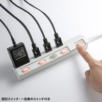 サンワサプライ 節電タップ TAP-S29-2W 1個