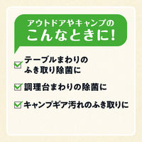 ウェットティッシュ除菌シートアルコール枚数たっぷり除菌できるアルコールタオルOUTDOOR チャムス本体1個（130枚入）大王製紙