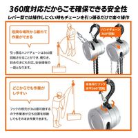 ベスト・アンサー 360度 軽量小型チェーンブロックJX 0.25t lh-jx025-4p 1セット(4台入)（直送品）