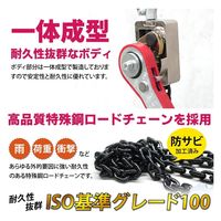 ベスト・アンサー レバーホイスト VW 0.1t lh-vw010-4p 1セット(4台入)（直送品）
