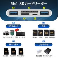 ベスト・アンサー カードリーダー SD micro-SD USBメモリー アプリ不要 life-126 1個（直送品）