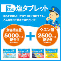 暑さ対策 塩分補給 塩分対策  匠の塩タブレット 3種アソート 1個