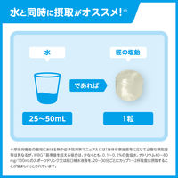 暑さ対策 塩分補給 塩分対策  匠の塩飴 3種アソート 1個