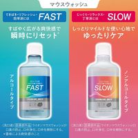 OCH-TUNE（オクチューン） マウスウォッシュ FAST クールドライミント 口臭 口中浄化 600mL 1本 ライオン