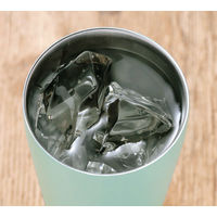 カクセ- 真空二重タンブラー450ml NB-11 1セット（3個）