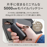 オウルテック PD20W対応 5000mAh コンパクトモバイルバッテリー ブラック OWL-LPB5018-BK 1個