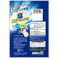 塩分商材 塩分補給 個包装 塩スポーツキャンディ 1セット（1袋×6） パイン