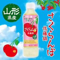 伊藤園 ニッポンエール 山形県産 さくらんぼ 500g 1セット（48本）