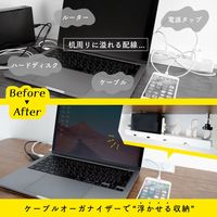 カール事務器 ケーブルオーガナイザー CO-430-W 1個