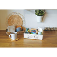 錦化成 スヌーピー モッテケース I 4460022 1個