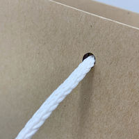 マツシロ さすてな紙袋 ペーパーバック 「びーる」A4ヨコ 10枚セット 62SUA4B 1包（直送品）