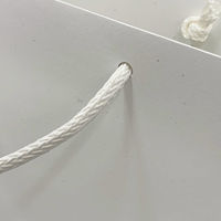 マツシロ さすてな紙袋 ペーパーバック 「にんじん」A4ヨコ 10枚セット 62SUA4N 1包（直送品）