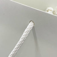 マツシロ さすてな紙袋 ペーパーバック 「さとうきび」A4ヨコ 10枚セット 62SUA4S 1包（直送品）