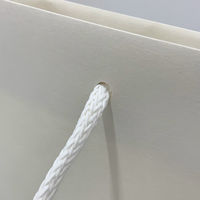 マツシロ さすてな紙袋 ペーパーバック 「こめ」小タテ 10枚セット 62SUSK 1包（直送品）