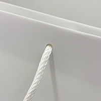 マツシロ さすてな紙袋 ペーパーバック 「せっかい」小タテ 10枚セット 62SUSL 1包（直送品）