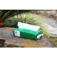 ペーパータオル 小判 バガス パルプ シングル エコノミー FR-6641 1セット（1袋（200枚入）×96）ファーストレイト