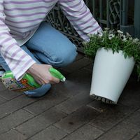 カメムシ クモ アリ 駆除 フマキラー カダンお庭の虫キラーハンドスプレー1000ml  1本