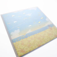 包む 色紙 紙ひこうき 「for you」封筒・メッセージシール付き TS041 1冊