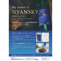 ナナクボブルー ザ ニャンスキー 36度 360ml 1本 芋焼酎 東酒造 七窪