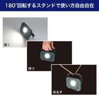 朝日電器 小型ポータブルライト DOP-PL05 1個