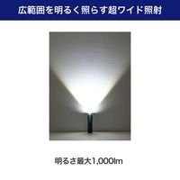 朝日電器 大光量アルミライト1000LM DOP-EP1000 1個