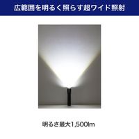 朝日電器 大光量アルミライト1500LM DOP-EP1100 1個