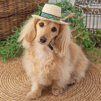 ソルグラ チロリアン麦わら帽子 Mサイズ イエロー 1個 犬用 アルクロース