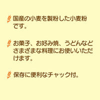 日清製粉ウェルナ 国内麦小麦粉 薄力小麦粉 700g 1個