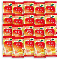 中島大祥堂 【20個セット】果実たっぷり ふじ林檎ケーキ 1個 RCA-1-20 1セット(20個)（直送品）