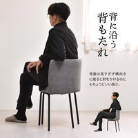 【軒先渡し】B.Bファニシング PLLITE ダイニングチェア マーズ ブラウン PLCH0226CEMAR 1セット（2脚入）（直送品）