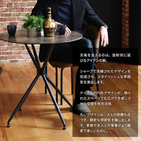 【軒先渡し】B.Bファニシング PLLITE ダイニングテーブル ムーン グレー PLDT0224CEMON 1台（直送品）