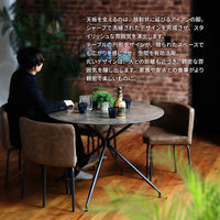 【軒先渡し】B.Bファニシング PLLITE ダイニングテーブル ムーン グレー PLDT0225CEMON 1台（直送品）