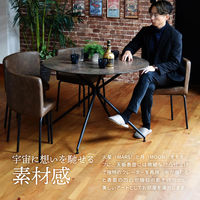 【軒先渡し】B.Bファニシング PLLITE ダイニング 5点セット ムーン グレー PLSE0240CEMON 1セット(5点)（直送品）